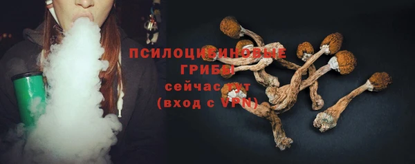 а пвп мука Алзамай
