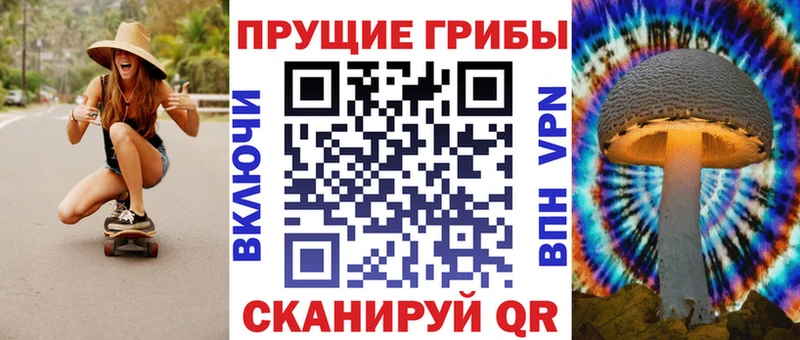 Галлюциногенные грибы Cubensis Рошаль